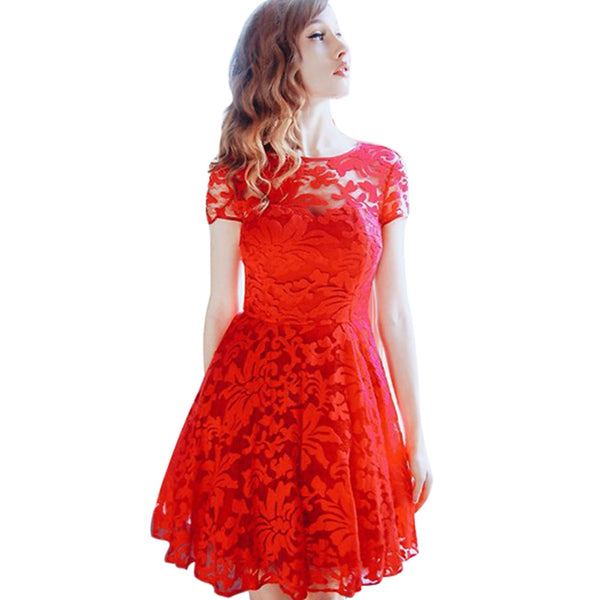 A Lovely Round Collar Short Sleeve Lace Dresses