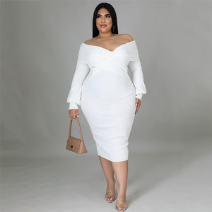 Plus Size, Sexy,  Elegant,  Evening Dresses